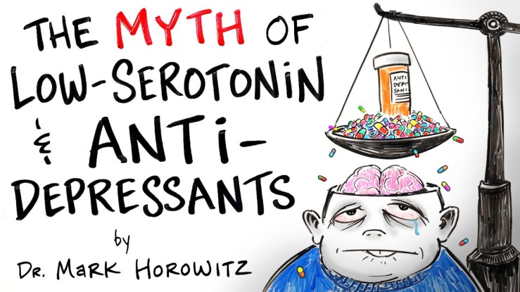 “The Myth of Low-Serotonin & Antidepressants” – Dr. Mark Horowitz | After Skool ▶